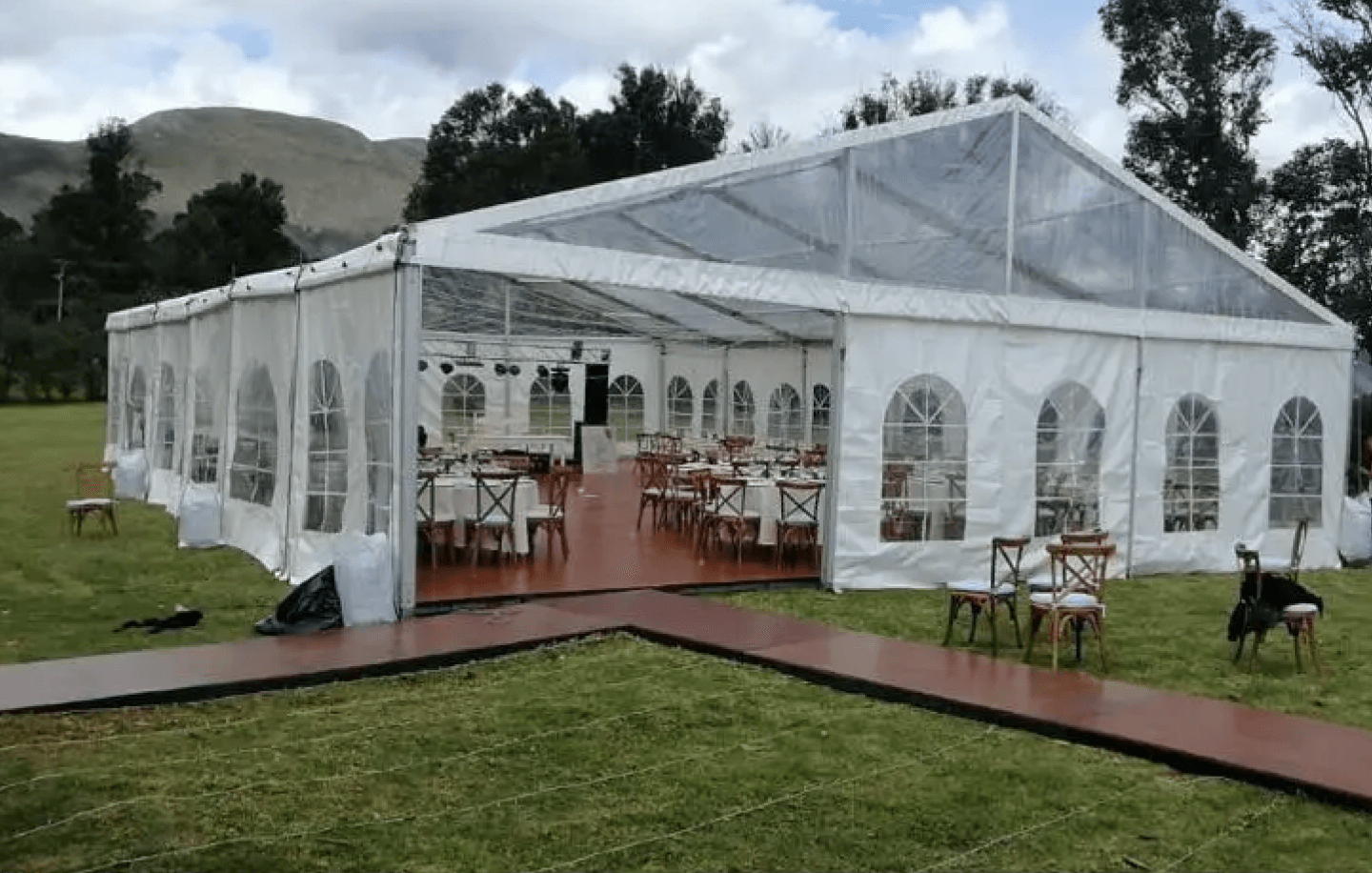 Carpa en la naturaleza