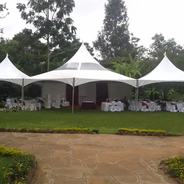 imagen de carpas pagodas