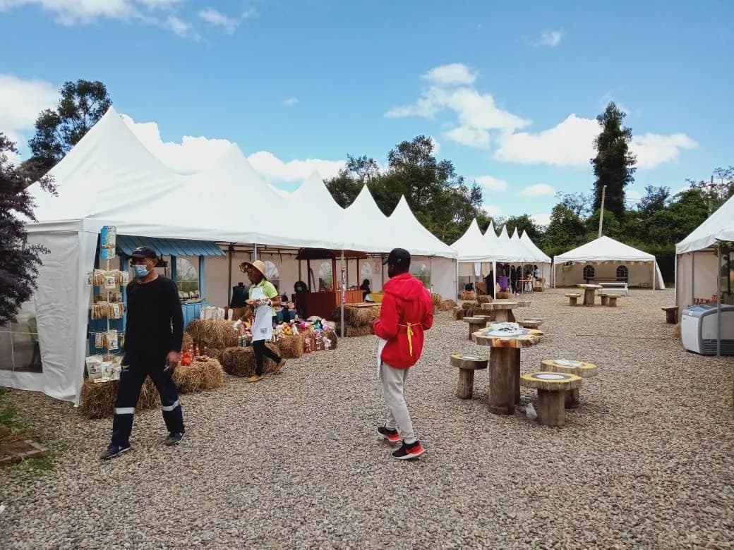 imagen de carpas pagodas