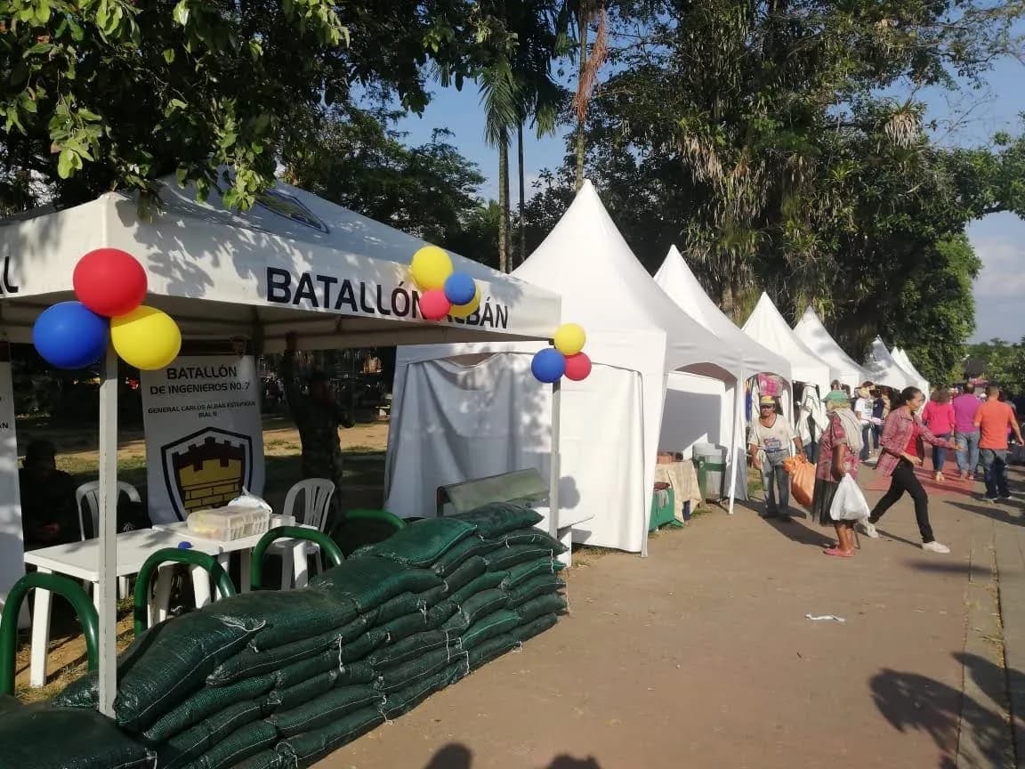 imagen de carpas pagodas